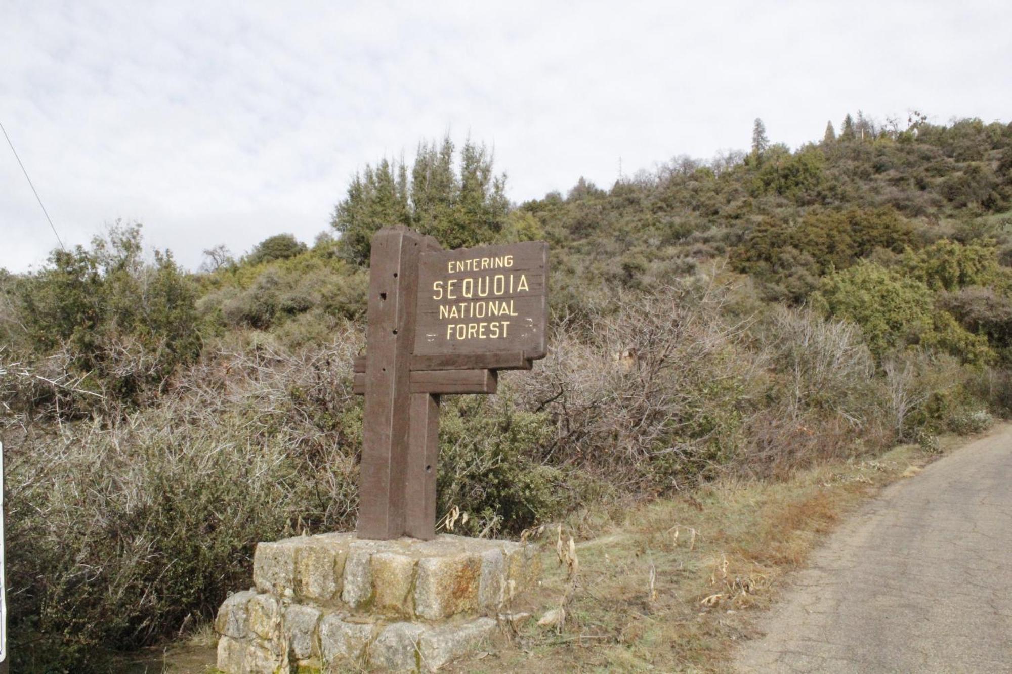 Hummingbird Hill - Entire Cabin Dunlap Εξωτερικό φωτογραφία